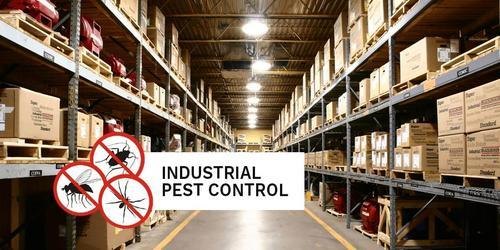 Industrial Pest Control Services in Pune